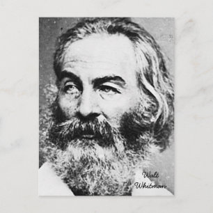 Walt Whitman Postcard