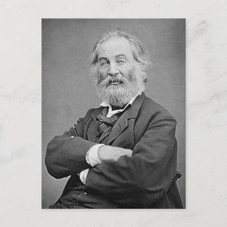 Walt Whitman Seated Portrait Photograph Age 47 Postcard