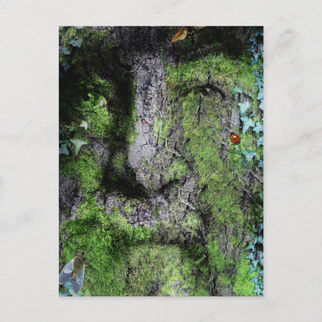 "Walt Whitman: The Green Man" Postcard (Front)