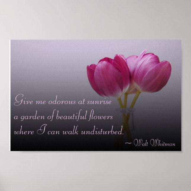 Walt Whitman Tulips Poster (Front)