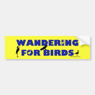 Wandering For Birds Bumper Sticker