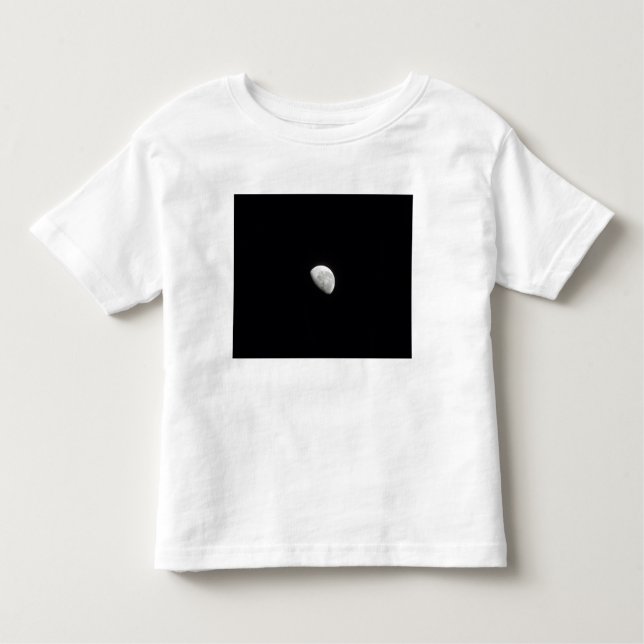 Waning Moon 2 Toddler T-Shirt (Front)