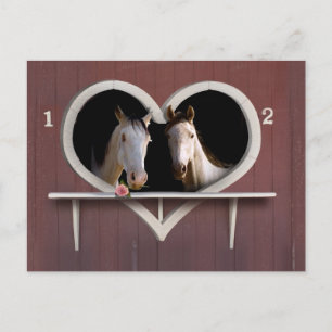 Wanna Horse Around? Postcard