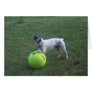 Wanna Play?