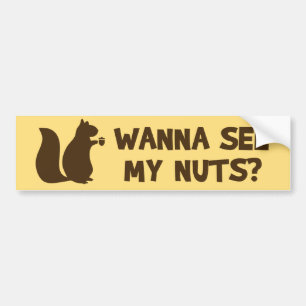 Wanna See My Nuts? - Funny Squirrel Lovers Humour Bumper Sticker