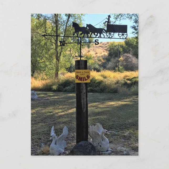 Want a Facelift, Smile, Funny Sign Postcard (Front)