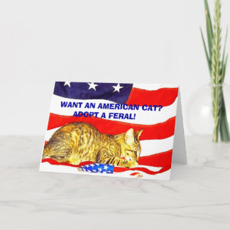 Want an American Cat?  Adopt a Feral! Card