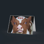 WANT TO BE 1st TO SAY "MERRY CHRISTMAS" Holiday Card<br><div class="desc">SAY IT IN A "SPECIAL WAY" SO THEY KNOW YOU CHOSE THIS CARD JUST FOR THEM. AND,  MERRY CHRISTMAS TO YOU!</div>