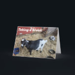 WANT TO BE 1st TO SAY "MERRY CHRISTMAS" Holiday Card<br><div class="desc">SAY IT IN A "SPECIAL WAY" SO THEY KNOW YOU CHOSE THIS CARD JUST FOR THEM. AND,  MERRY CHRISTMAS TO YOU!</div>