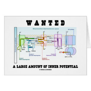 Wanted A Large Amount Of Inner Potential