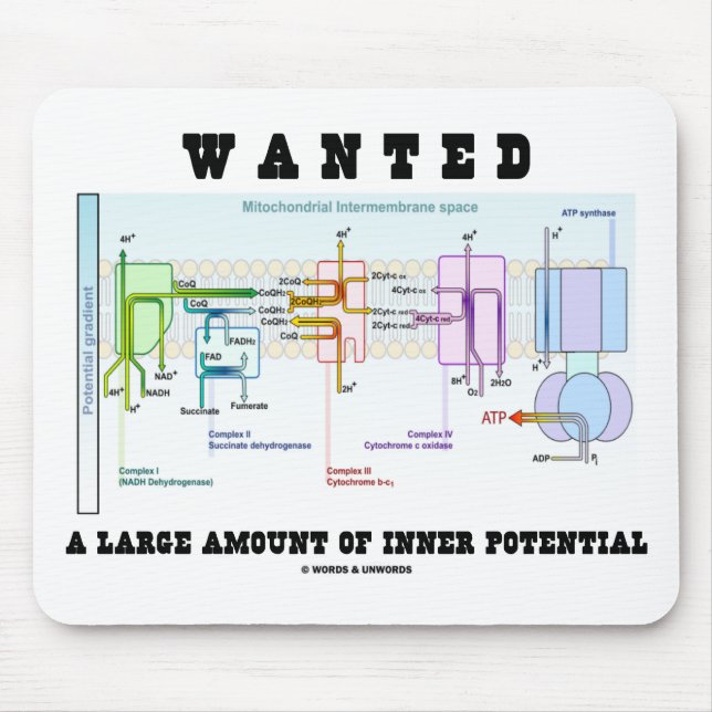 Wanted A Large Amount Of Inner Potential Mouse Pad (Front)