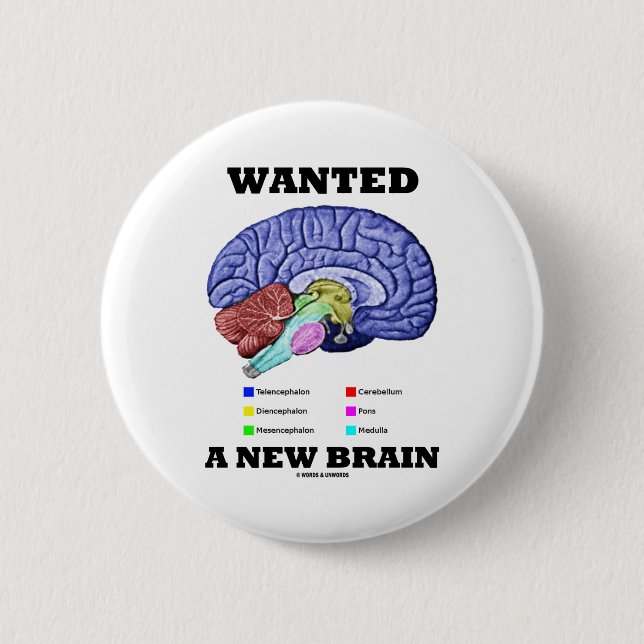 Wanted A New Brain (Anatomical Brain Attitude) 6 Cm Round Badge (Front)