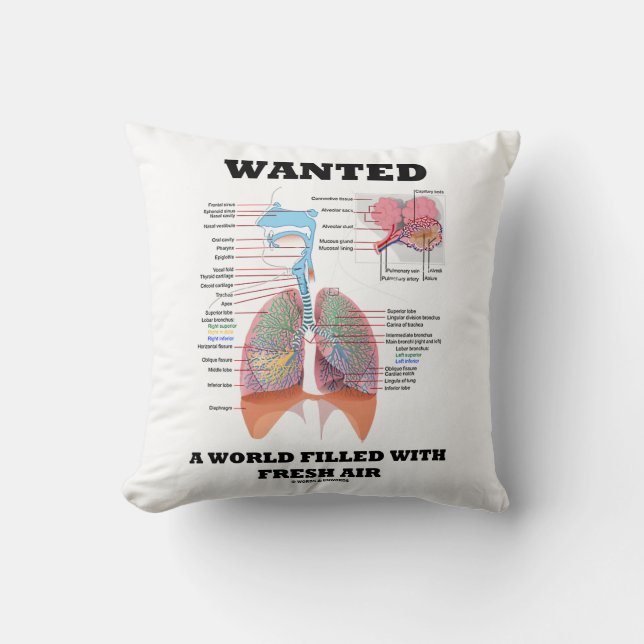 Wanted A World Filled With Fresh Air Respiratory Cushion (Front)