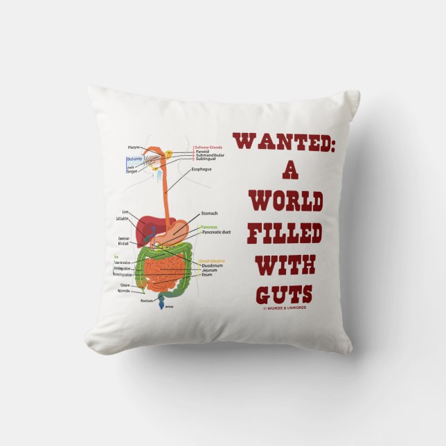 Wanted A World Filled With Guts Digestive System Cushion (Front)