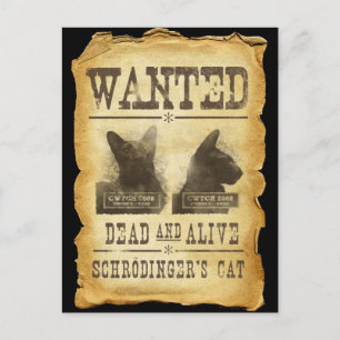 Wanted dead and alive.  Schroedinger's cat. Postcard