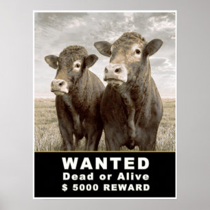 WANTED Dead or Alive $ 5000 REWARD Poster