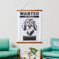 Wanted Mugshot of Wire Haired Dachshund