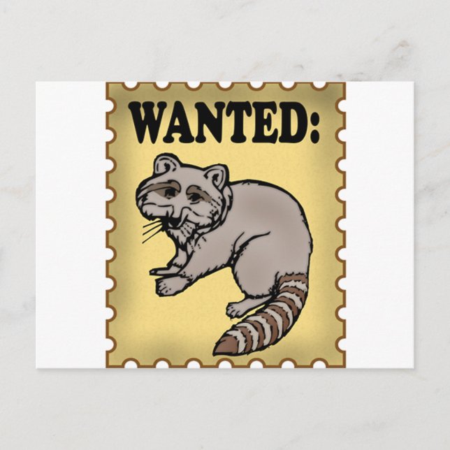 Wanted Racoon Postcard (Front)