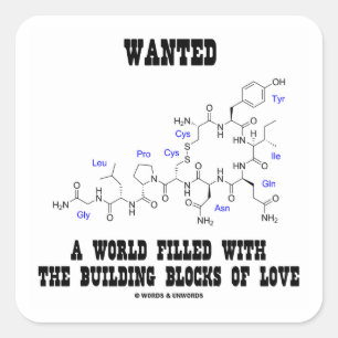 Wanted World Filled Building Blocks Love Oxytocin Square Sticker