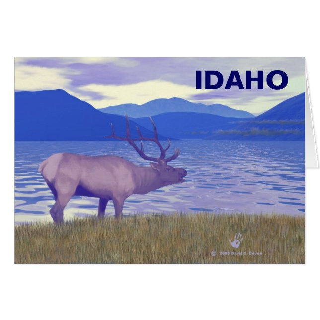 Wapiti (Elk) By The Lake (Front Horizontal)