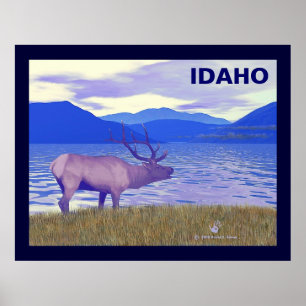 Wapiti (Elk) By The Lake Poster
