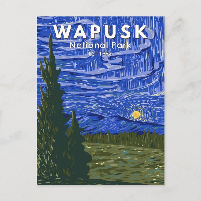 Wapusk National Park Northern Lights Vintage Postcard (Front)