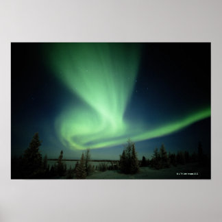 Wapusk National Park Poster