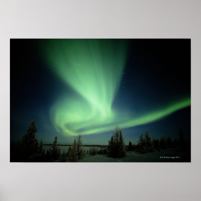 Wapusk National Park Poster (Front)