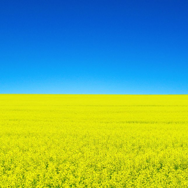 War and Peace Postcard (Creator Uploaded)