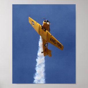 War Plane Poster