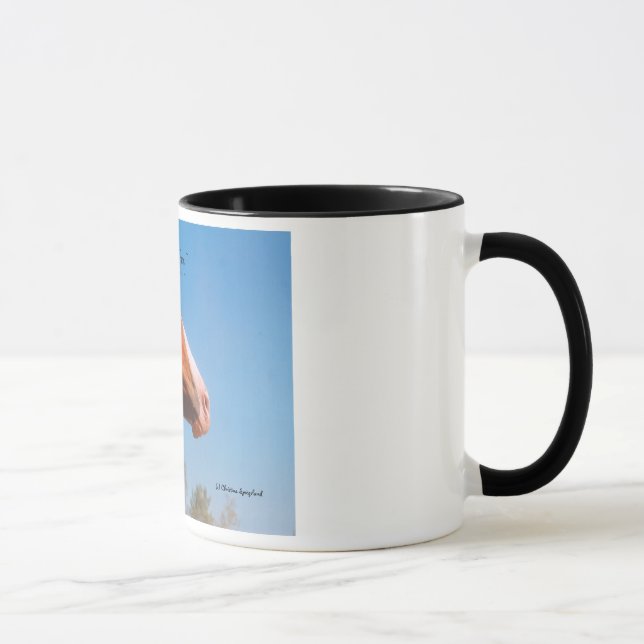 War Pony Paint Horse Feathers Mug (Right)