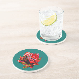 Waratah Australian native flower watercolor Coaster