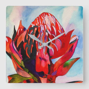 Waratah Australian native flower watercolor Square Wall Clock