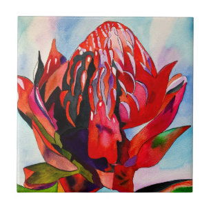 Waratah Australian native flower watercolor Tile