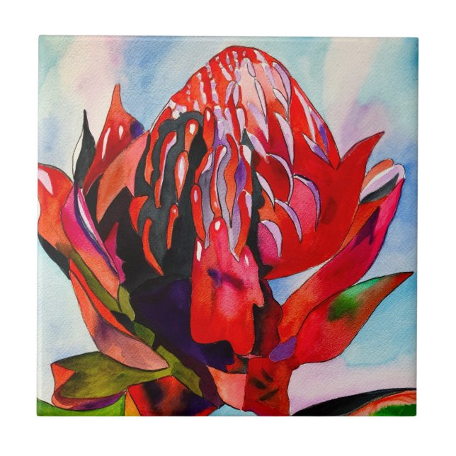 Waratah Australian native flower watercolor Tile (Front)