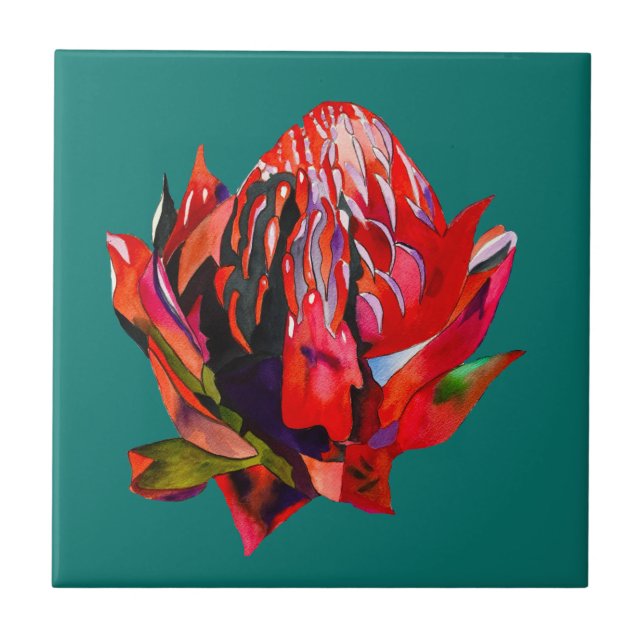 Waratah Australian native flower watercolor Tile (Front)