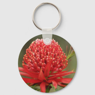 Waratah in bloom, Australia flowers Key Ring