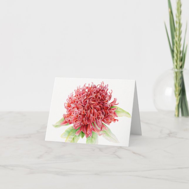 Waratah red floral watercolor art thank you card (Front)