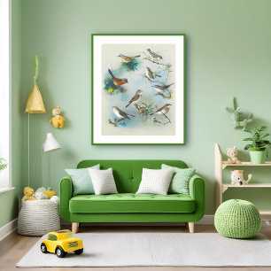 Warbler and Wrens,  Poster