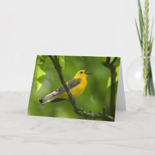Warbler Card