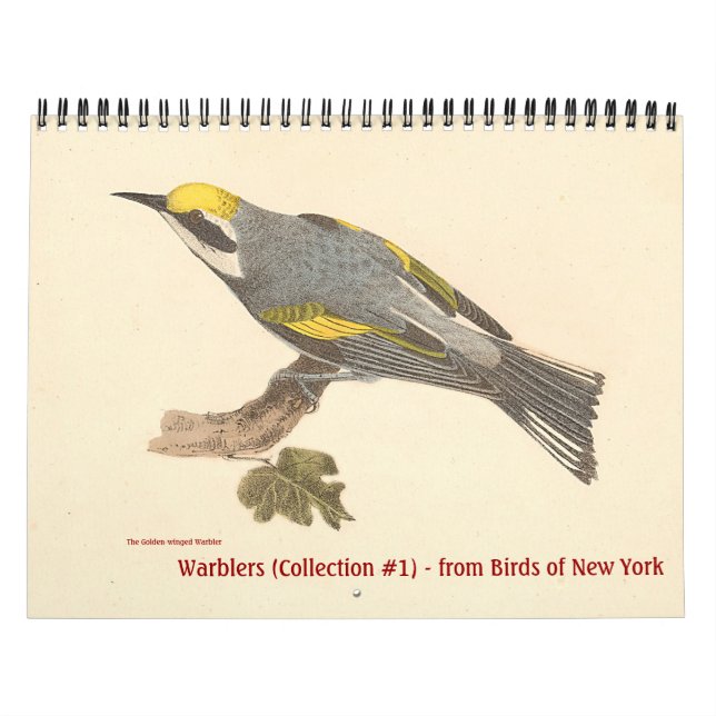 Warbler Collection #1 Lithographs from Birds of NY Calendar (Cover)