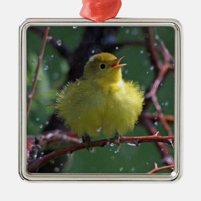Warbler Metal Tree Decoration (Front)