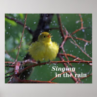 Warbler