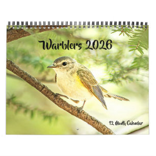 Warblers 12 Month Wall Calendar 2026