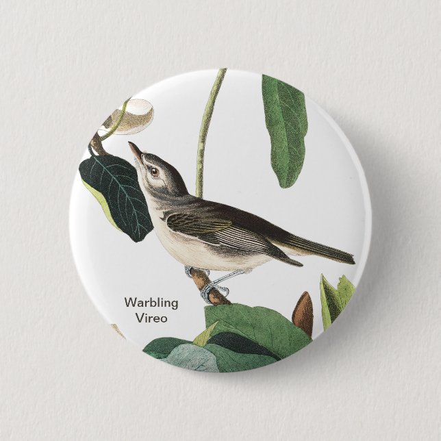 Warbling Vireo John James Audubon Birdwatcher Bird 6 Cm Round Badge (Front)
