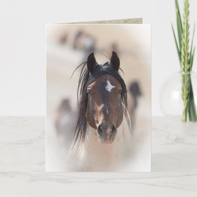 Warbonnet's Pride Wild Horse Greeting Card (Front)