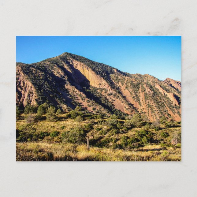 Ward Mountain, Big Bend National Park, Texas Postcard (Front)