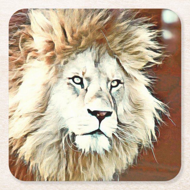 warm coloured animal lion square paper coaster (Front)