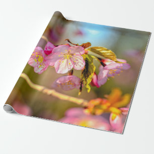 Warm Colours Of Sakura Flowers In Spring Wrapping Paper