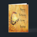 Warm Copper Cedar Waxwing Bird Brother Birthday Card<br><div class="desc">Warm Copper Cedar Waxwing Bird l Birthday for your Brother</div>